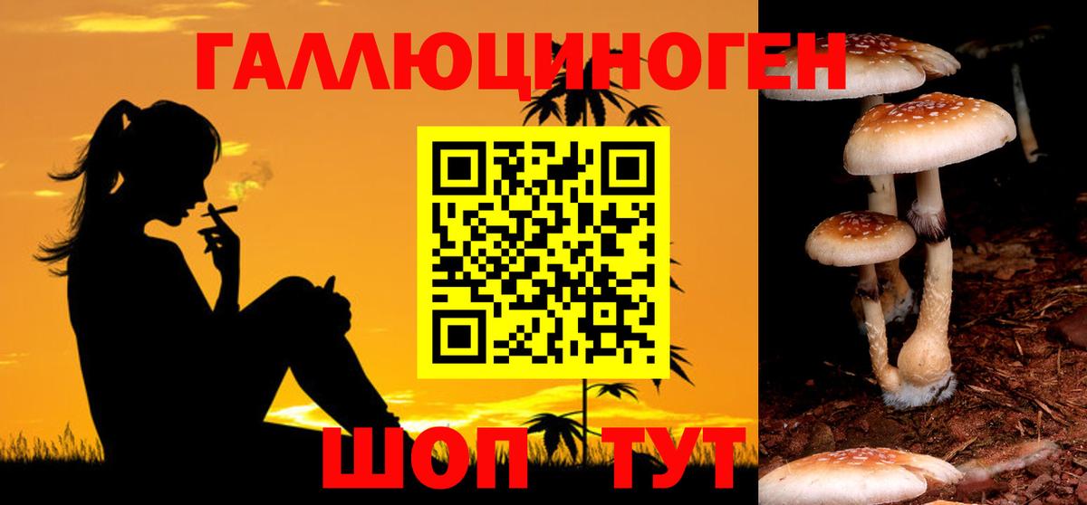 Псилоцибиновые грибы Psilocybe  Вход с VPN  Бирск 