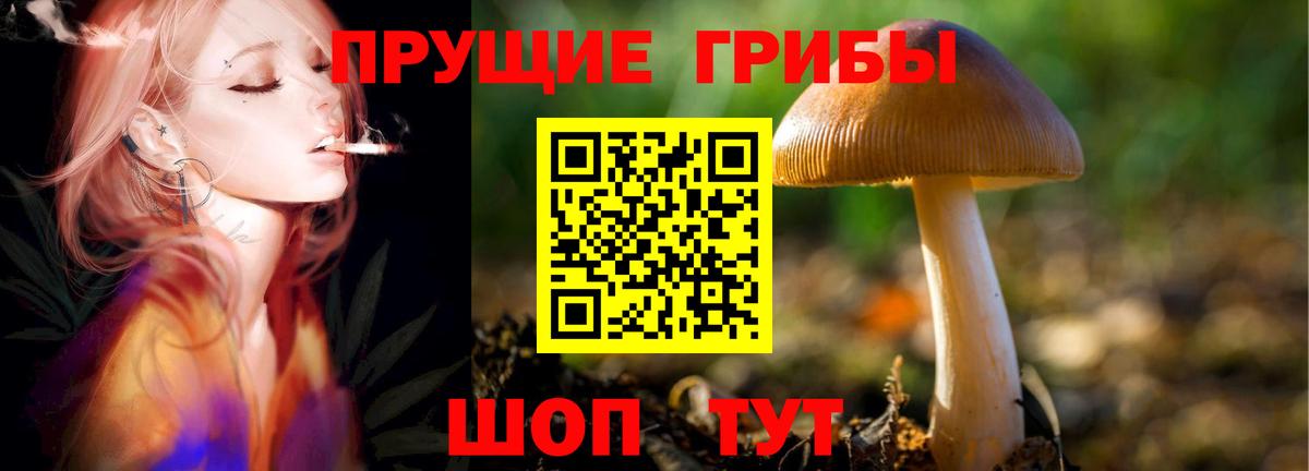 Галлюциногенные грибы прущие грибы Бирск